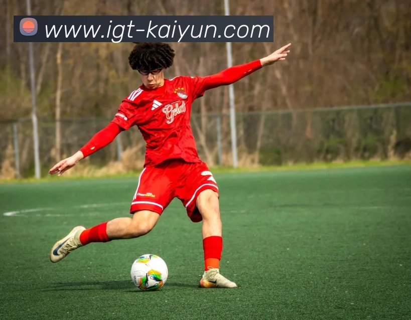 App Interface Preview